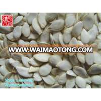 2014 new crop Snow White Pumpkin Seeds, Pumpkin seeds in shell, 11cm, 13cm