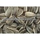 Long Type Sunflower Seeds