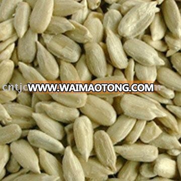 American sunflower seeds kernel