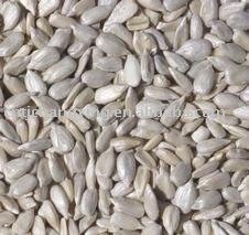 sunflower seed kernels