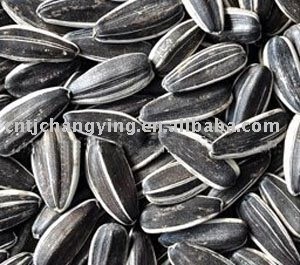 sunflower seeds 5009