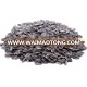 Tinned top grade quality organic sunflower seeds