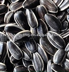 sunflower seeds 5135