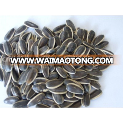 Chinese sunflower seeds